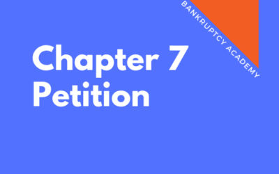 BK 101: Chapter 7 Petition