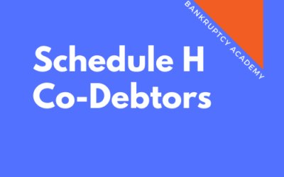 BK 107: Schedule H, Co-Debtors