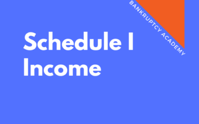 BK 108: Schedule I – Income