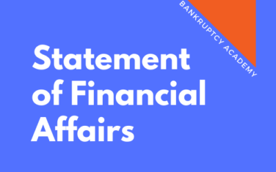 BK 112: Statement of Financial Affairs