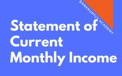 BK 113: Statement of Your Current Monthly Income