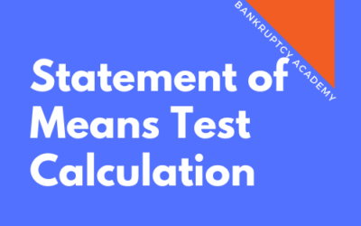 BK 114: Statement of Means Test Calculation